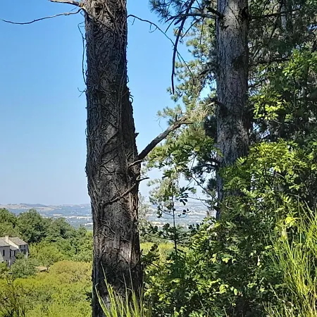 Les De Roucayrols Feriehus Pampelonne