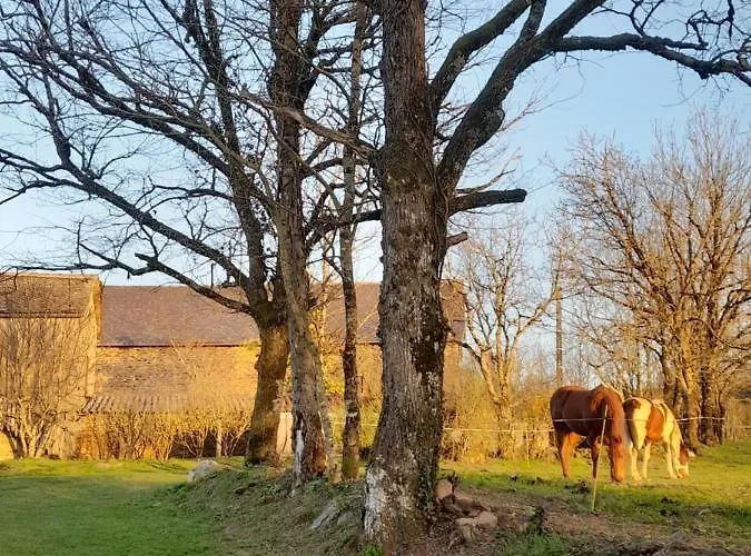 Hébergement de vacances Les De Roucayrols