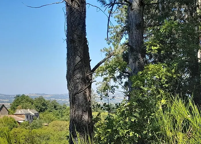 Les De Roucayrols Hébergement de vacances Pampelonne